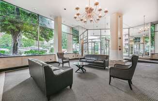 A large room with a chandelier and a view of trees outside the windows.