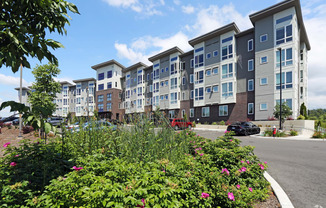 Welcome to Park View Village