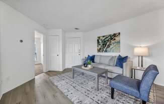 A living room with a grey sofa, a grey armchair, a grey coffee table, and a grey rug.