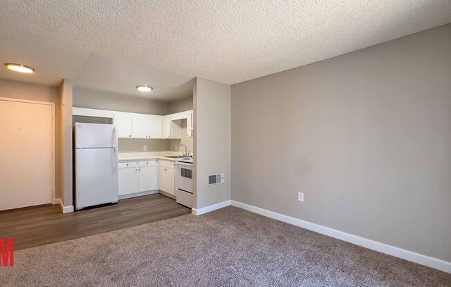 1 bed, 1 bath, 540 sqft, $1,499, Unit 1215-307B