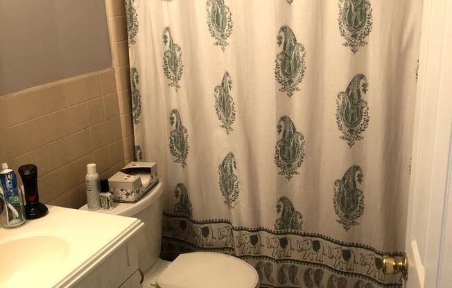 1 bed, 1 bath, $1,895, Unit LL - 313