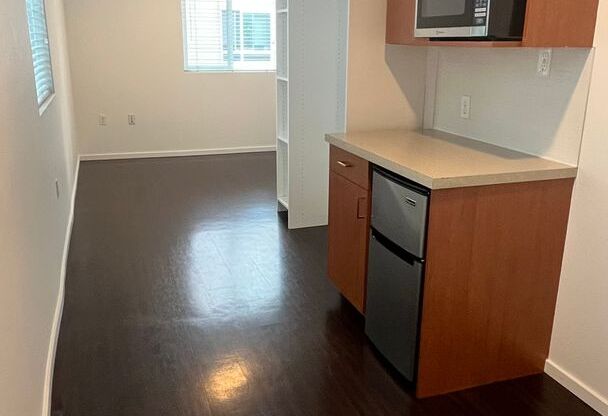 Studio, 1 bath, 176 sqft, $1,495, Unit 1300
