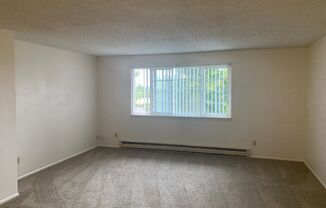 2 bedroom/1 bathroom apartment - West Salem