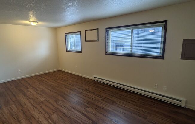Studio, 1 bath, 350 sqft, $895, Unit 204