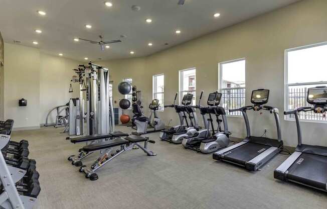 the gym is equipped with state of the art cardio equipment and weights at Echo Park at Perry Crossing Apartments, Plainfield, IN, 46168