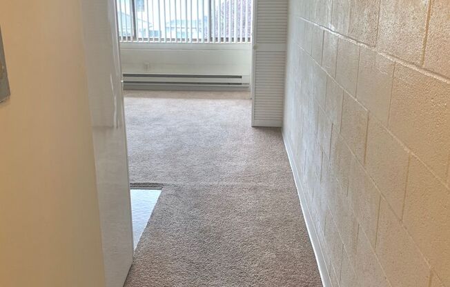 Studio, 1 bath, 302 sqft, $1,100, Unit 409