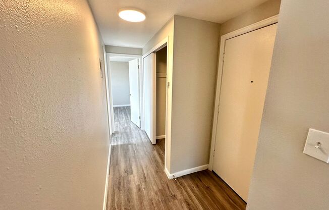 1 bed, 1 bath, 600 sqft, $1,345