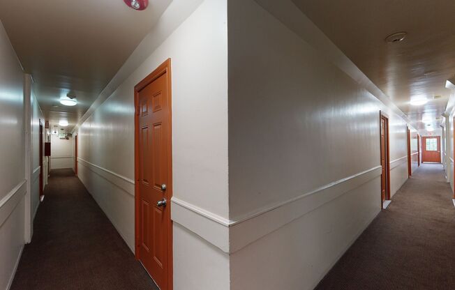 Studio, 1 bath, 264 sqft, $1,495, Unit #217