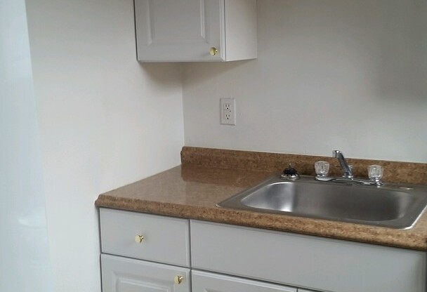 Studio, 1 bath, 489 sqft, $1,100, Unit Fifth 305