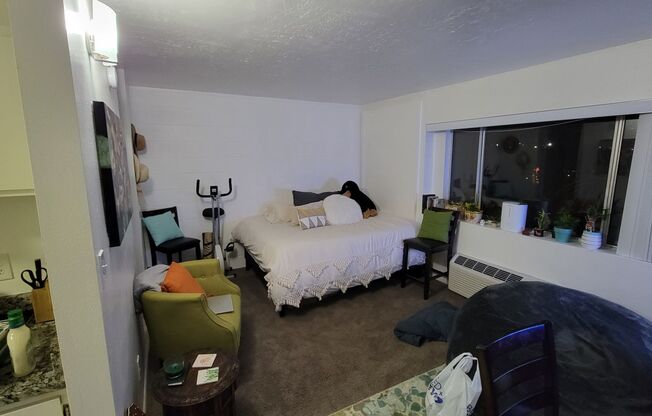Studio, 1 bath, $1,065, Unit 307