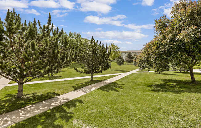 A pathway in a park with trees on both sides.