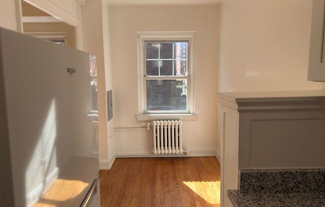 Studio, 1 bath, 301 sqft, $1,400, Unit Wellington 205