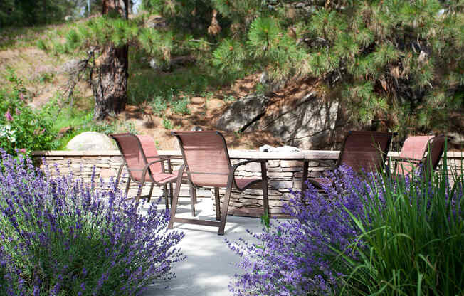 Pine Valley Ranch Apartments Outdoor Fire Pits