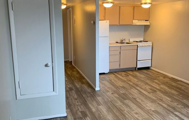 Studio, 1 bath, 445 sqft, $794, Unit 193