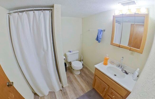 5 beds, 3 baths, $2,295