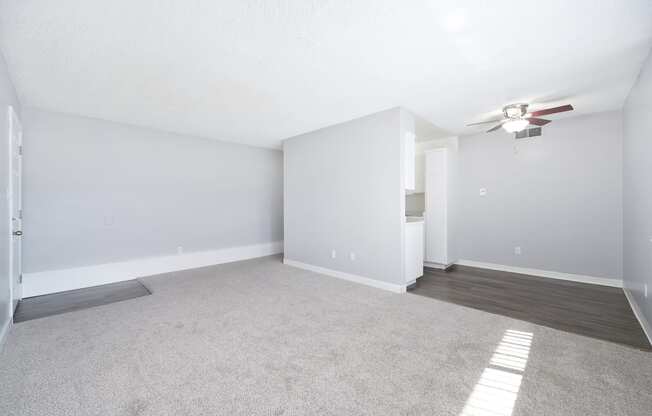 The Canopy | Living Room