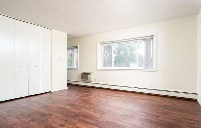 Studio, 1 bath, 400 sqft, $925, Unit 310