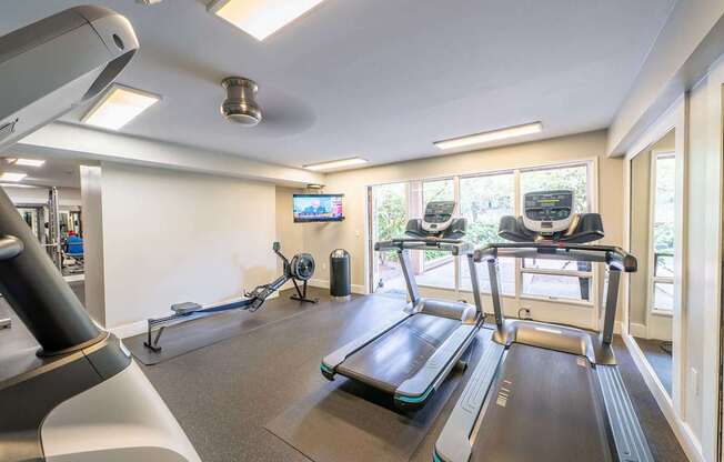 A gym with treadmills and elliptical machines.