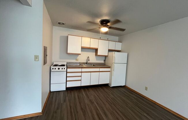 1 bed, 1 bath, 500 sqft, $949.99, Unit 2919-108