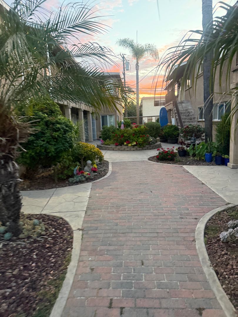 Palm Terrace Condos