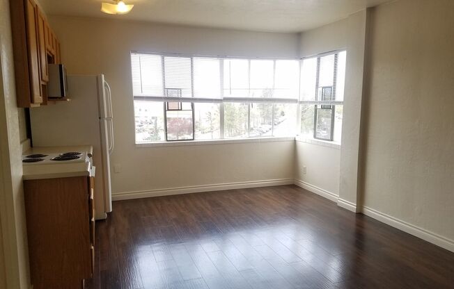 1 bed, 1 bath, 475 sqft, $1,295, Unit 501