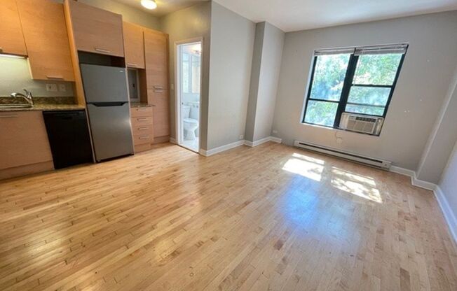 Studio, 1 bath, $1,300, Unit 103
