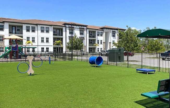 Dog park with agility equipment