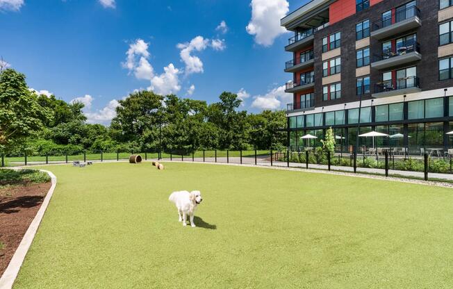 Room to roam and play—our expansive, fenced dog park is designed with your pup in mind.
