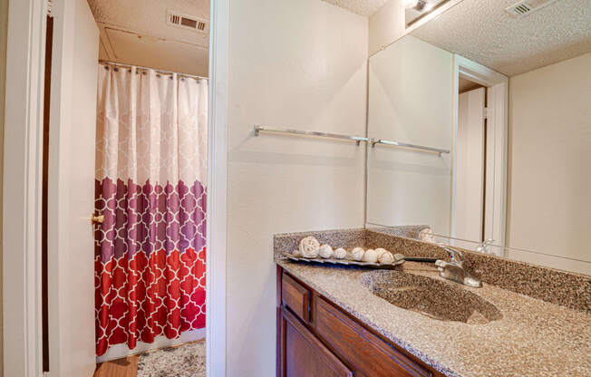 Luxurious Bathroom at Woodland Hills, Irving, Texas