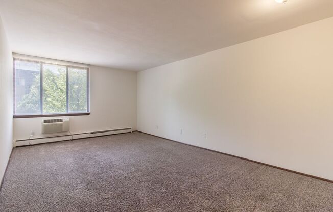 1 bed, 1 bath, 420 sqft, $999, Unit 103