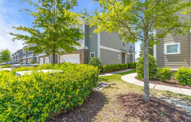 Cahoon Plantation