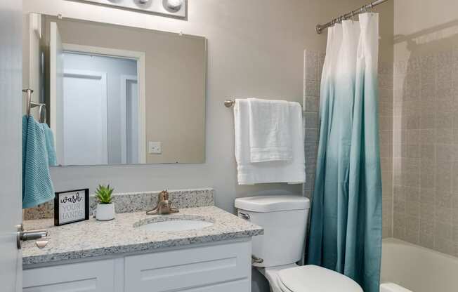 Bathroom With White Vanity & Shower With Tub