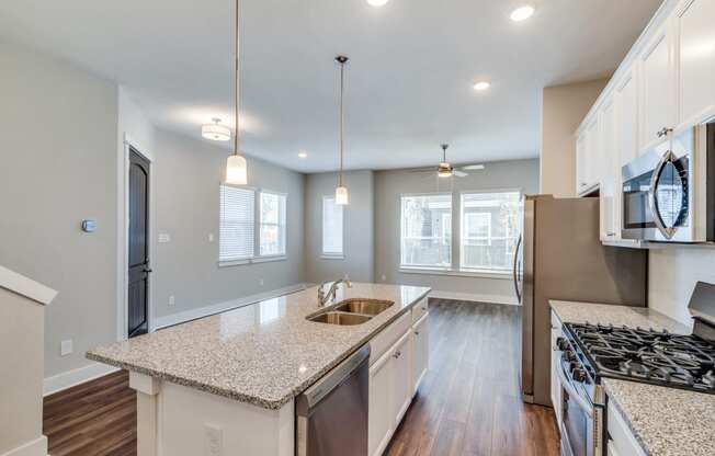 Three-Bedroom Homes for Rent in Houston, TX - East Heights - Kitchen with Granite and Quartz Counter Tops, and Stainless Steel Appliances