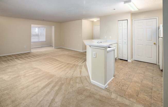 Classic style apartment