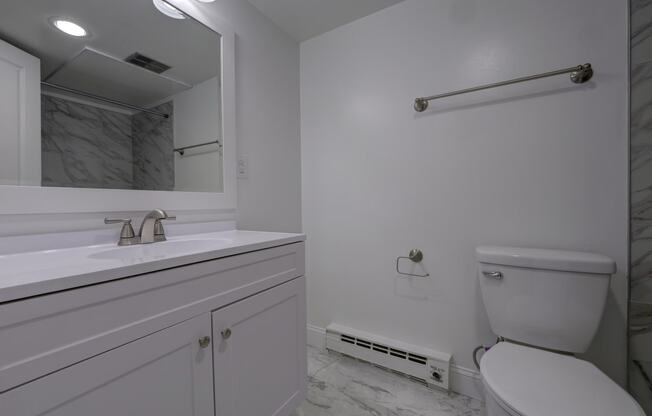 a bathroom with a toilet and a sink and a mirror