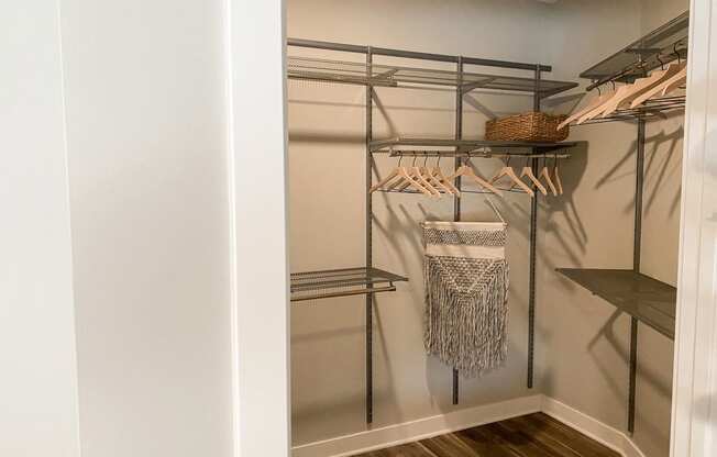 waterford bluffs apartments studio  walk in closet with a metal closet organizer