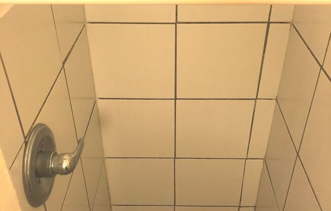 Studio, 1 bath, $775, Unit 20