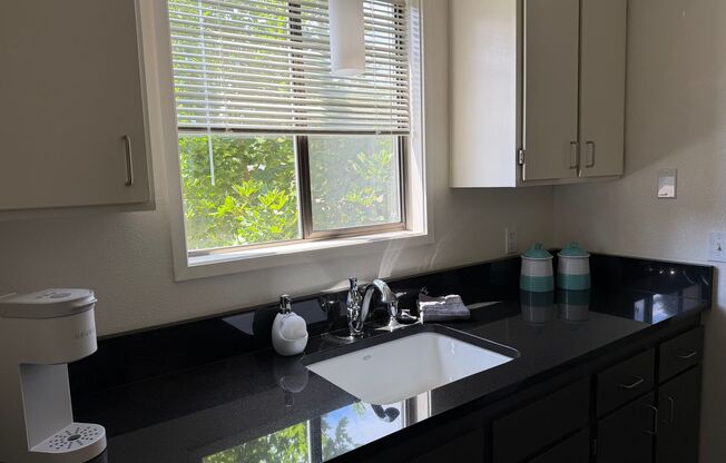 1 bed, 1 bath, 700 sqft, $1,440, Unit 0228