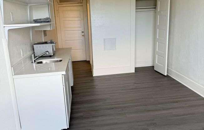 Studio, 1 bath, 250 sqft, $1,195, Unit 300