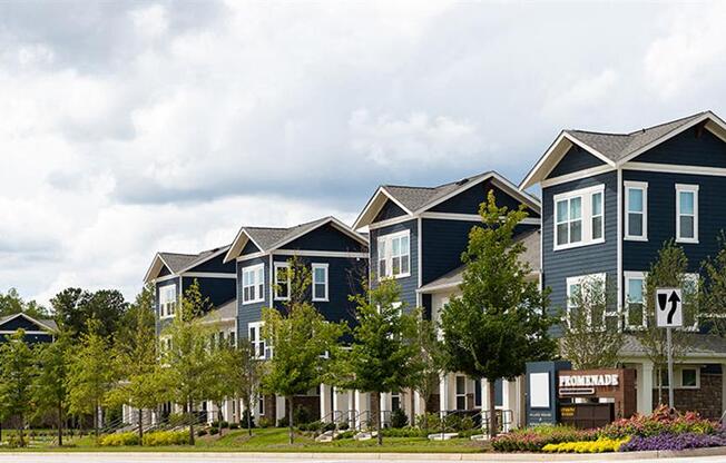 a row of houses on the side of a street at Promenade at Newnan Crossing, Newnan