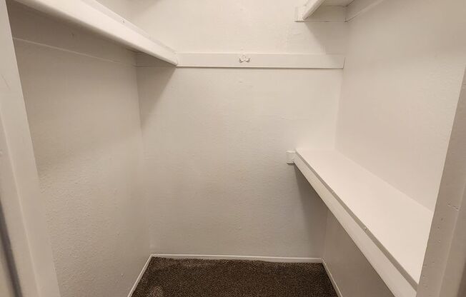 1 bed, 1 bath, 800 sqft, $999