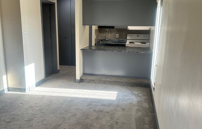 Studio, 1 bath, 460 sqft, $925, Unit 237S