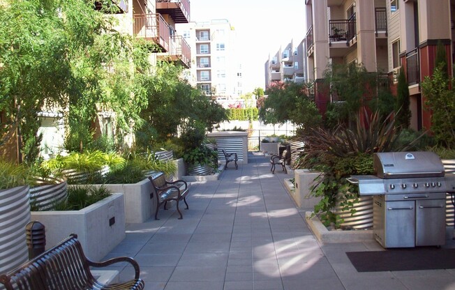 Studio, 1 bath, 610 sqft, $1,695, Unit 213