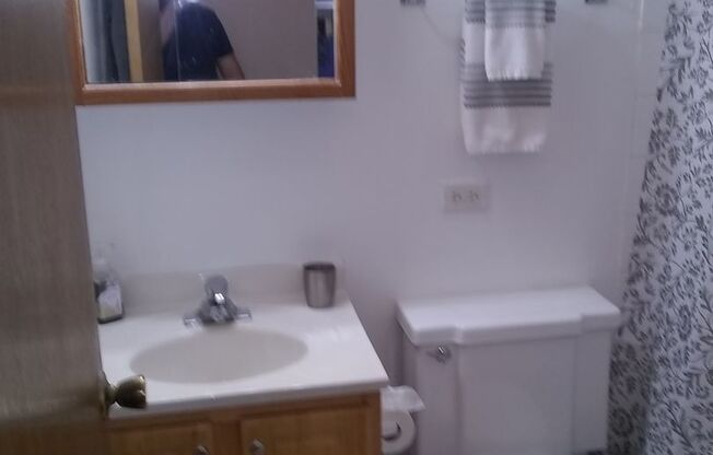 1 bed, 1 bath, $1,600, Unit #304