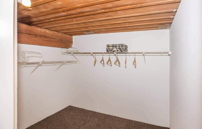 AMPLE CLOSET SPACE