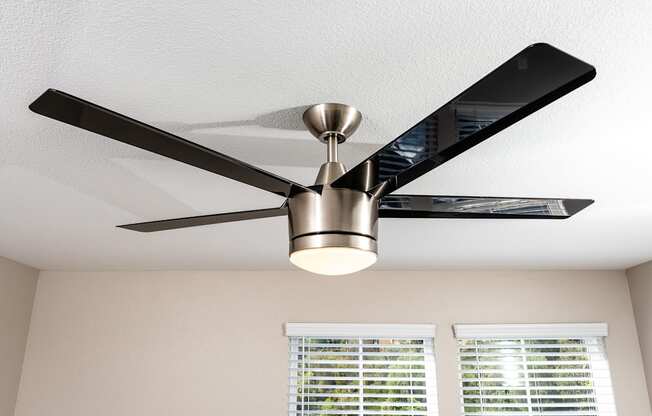 Ceiling Fan