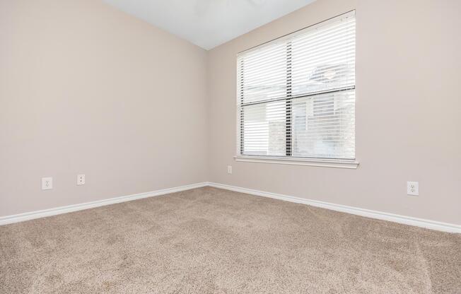1 bed, 1 bath, 785 sqft, $1,255