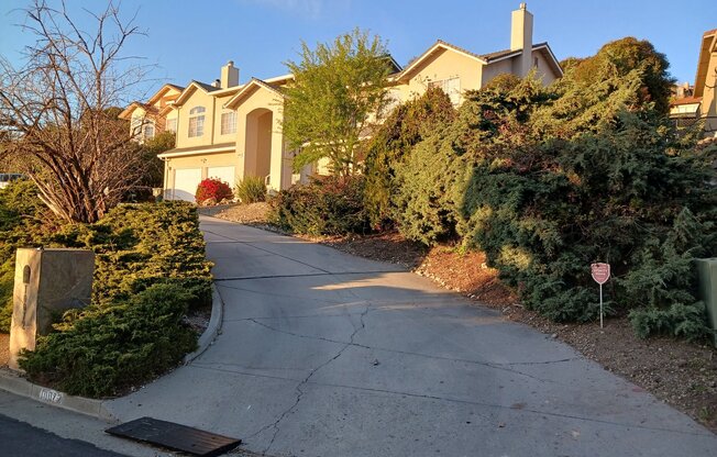 10072 Rose View Dr.