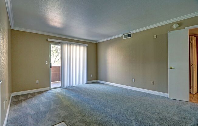 1 bed, 1 bath, $1,195