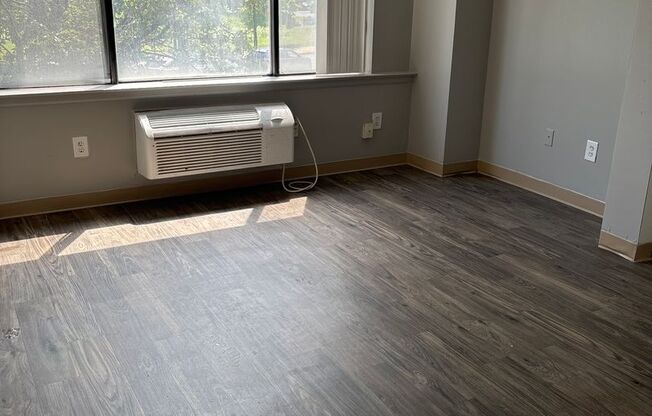 Studio, 1 bath, 400 sqft, $1,200, Unit 203A